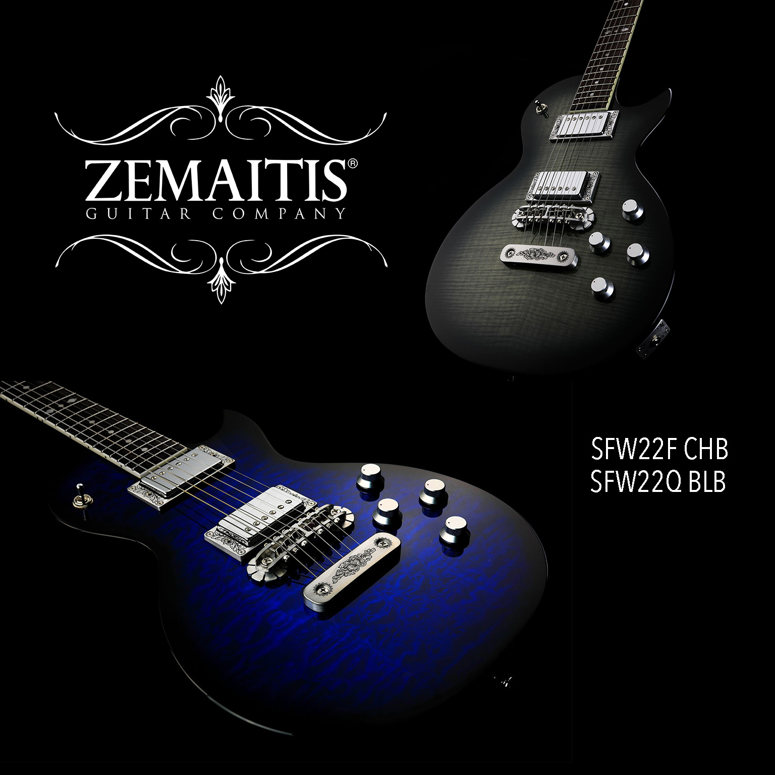 zemaitis upload 20 novembre